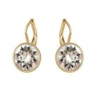Arannyal bevont akasztós fülbevaló áttetsző ausztriai kristályokkal (0641.)